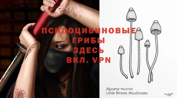 сатива Алексеевка