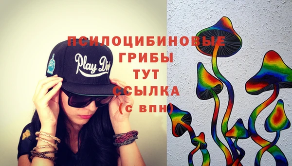 сатива Алексеевка